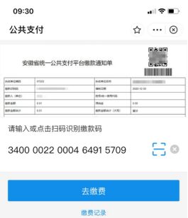 扫码(下图)进入安徽省统一公共支付平台小程序,输入缴款识别码办理